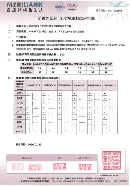 胎盤、臍帶間質幹細胞活性報告